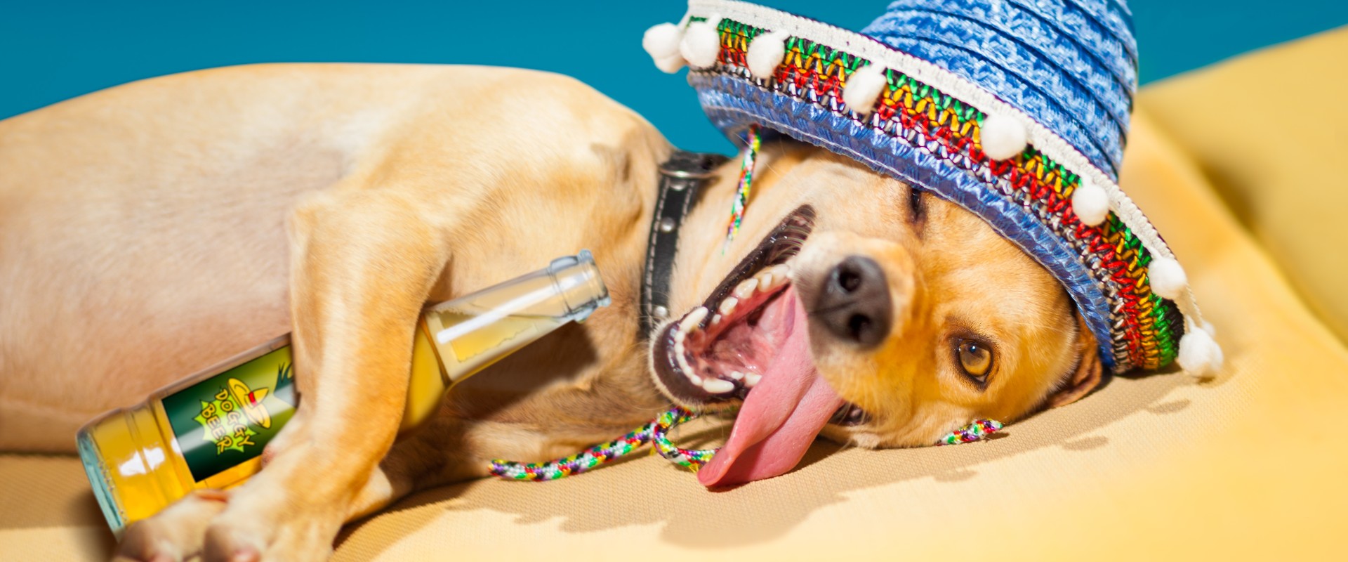 Tips para evitar la cruda estas fiestas patrias